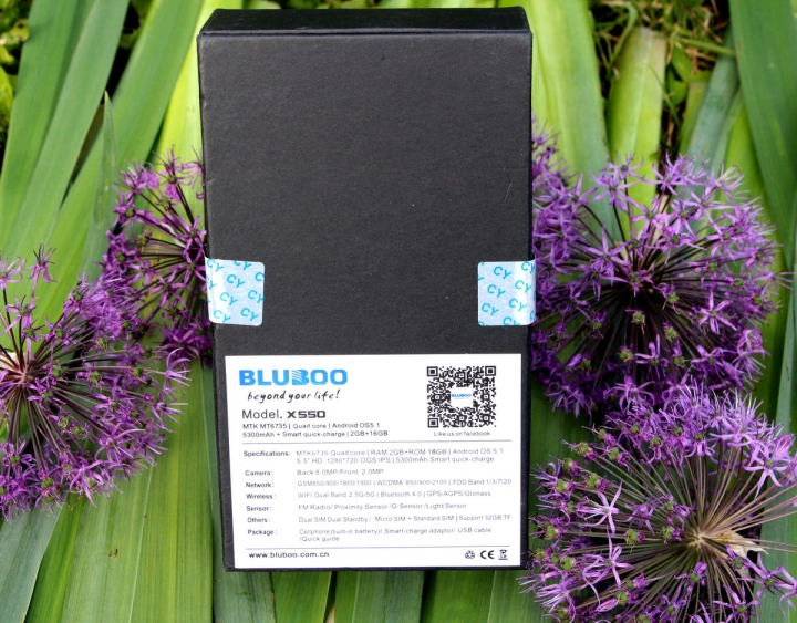 BLUBOO X550 — Долгоиграющий бюджетник с 4G