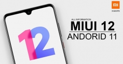 График выхода MIUI 12 на Android 11 для Xiaomi