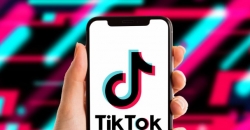 Университеты США начали блокировать TikTok