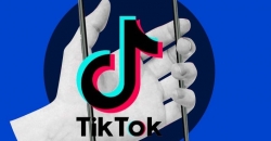 Федоров рассказал о судьбе TikTok в Украине