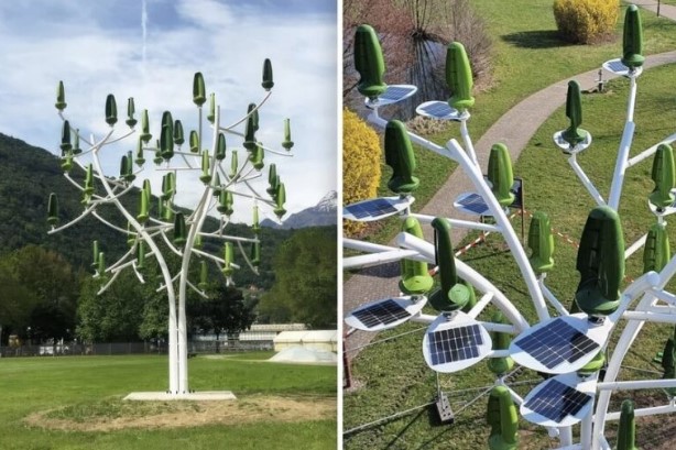 В сети показали электрические деревья: что это