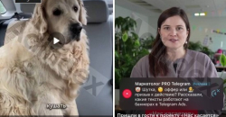 Реклама в Telegram тепер показується навіть під час перегляду відео